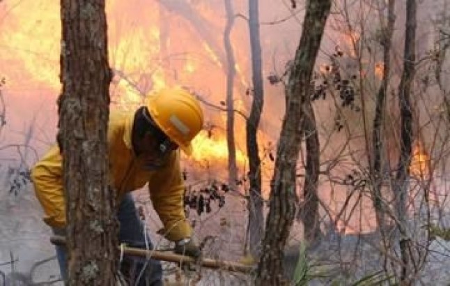 Programa Nacional de Protección contra Incendios Forestales