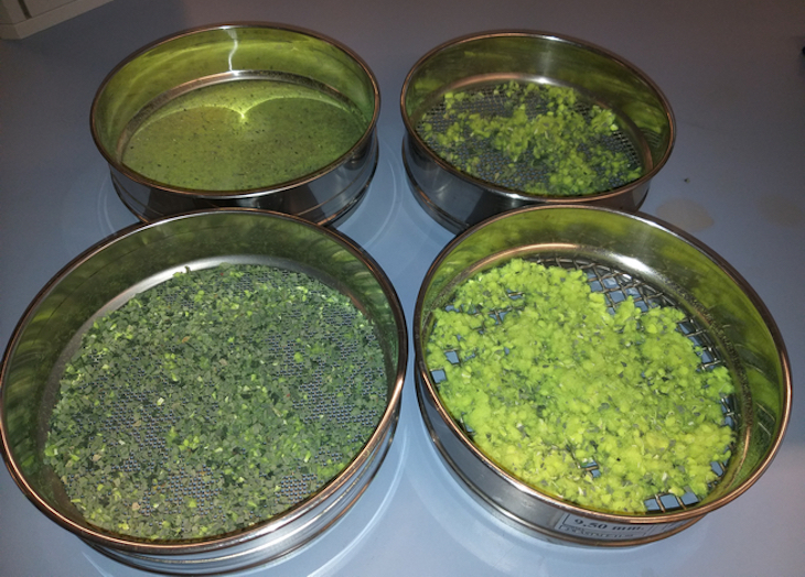 Convierten pelotas de tenis y pádel en material termoplástico sostenible