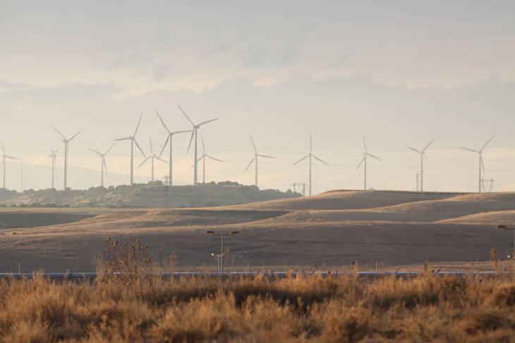 Alegaciones al proyecto de parque eólico en Montes de Cierzo I y II de Navarra