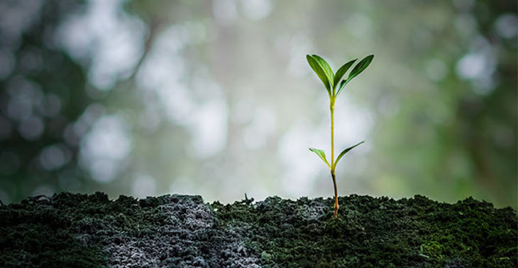 Hay algo que celebrar el Día de Madre Tierra