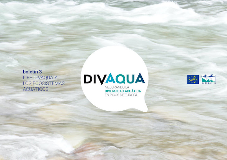 Life divaqua y los ecosistemas acuáticos