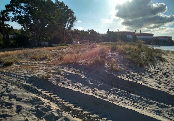 Deterioro de las dunas de Guadarranque de San Roque (Cádiz)