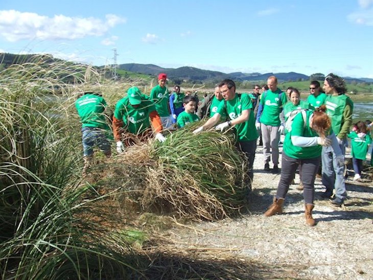 Cantabria. CIMA retoma sus actividades de voluntariado ambiental