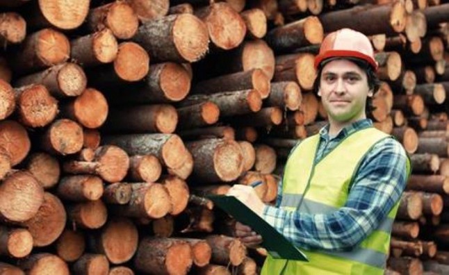 Minsait (Indra) mejora la seguridad y productividad en el ámbito laboral de la industria forestal