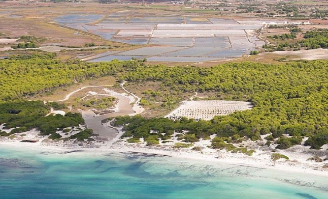 Ecologistas de Baleares presentan alegaciones contra el aparcamiento de Es Trenc