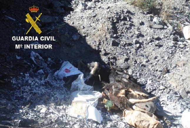 Detienen a un delincuente y dueño de una granja por maltrato animal en Canarias