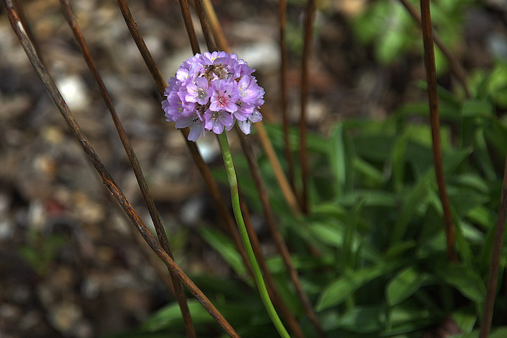 La diversidad de especies de Euskadi