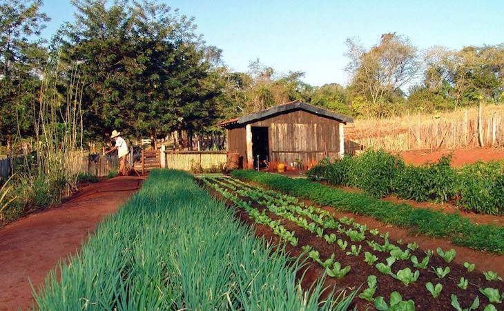 Extremadura por la defensa de la agricultura y ganadería de autoconsumo