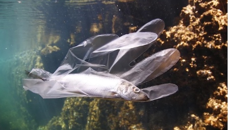 Los EPIs no pueden acabar de ninguna manera en el mar