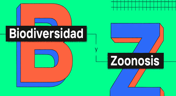 Fundación Biodiversidad lanza una campaña de sensibilización ambiental para escolares de primaria