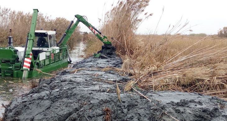 Valencia draga varios kilómetros de canales y desbroza de vegetación de la Albufera