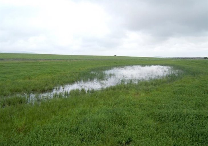 Qué pasa con la ‘reversión’ del mal estado del 60% de las masas de agua