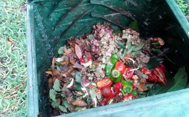 El programa de autocompostaje de la Diputación ourensana y Sogama entra en su última fase