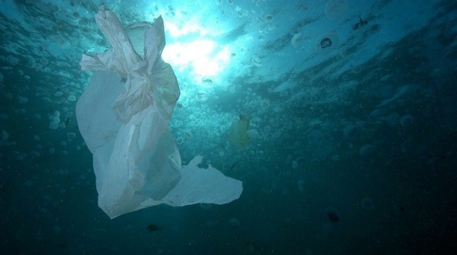 La Diputación de Barcelona combatirá la contaminación marina por plásticos