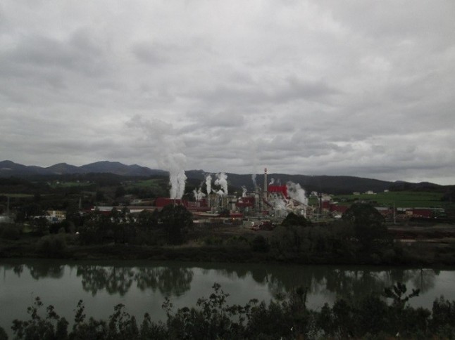 Asturias. La necesidad de paliar los problemas ambientales de la papelera de Navia