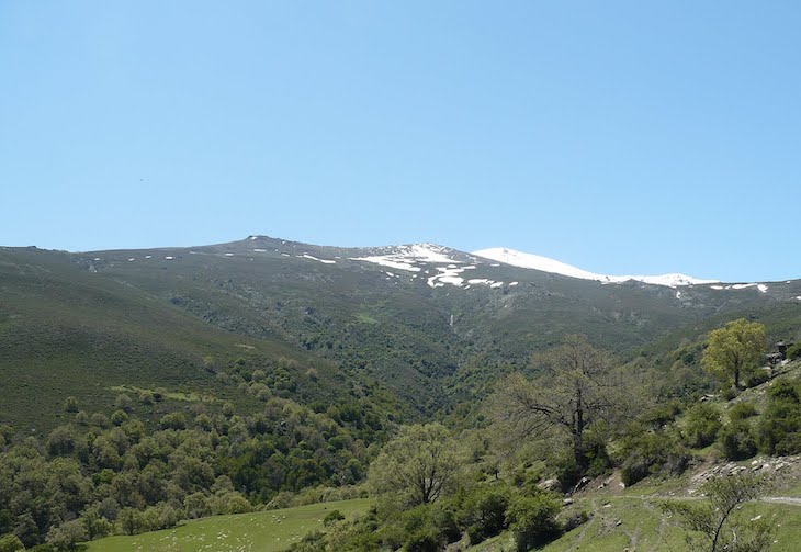 Alumnos del IES Alto Almanzora de Tíjola (Almería) recogen firmas para que la Sierra de los Filabres sea Parque Natural