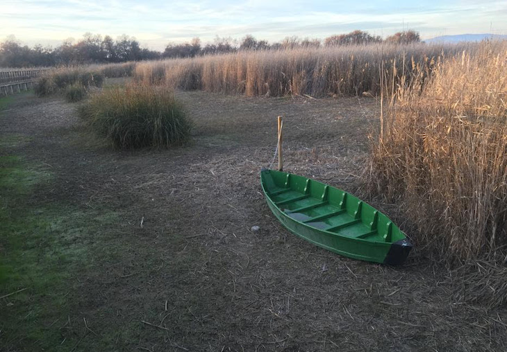 DÍA MUNDIAL DEL AGUA: ‘Los humedales no pueden quedar fuera de la planificación hidrológica’