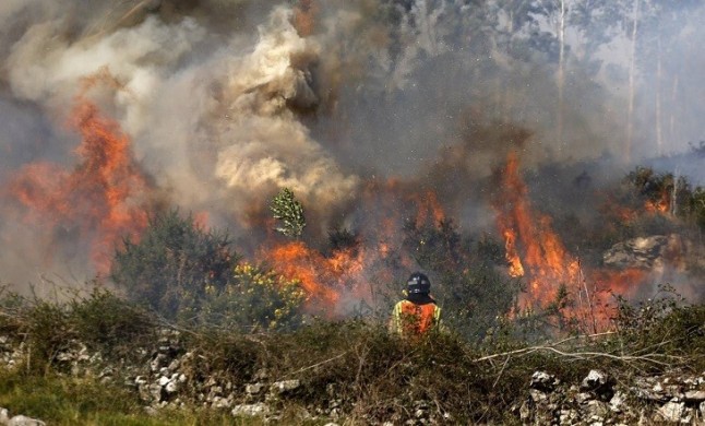 La Rioja pide colaboración ciudadana para la prevención de incendios forestales
