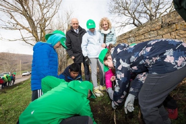 Qué sabes del nogal más antiguo de España