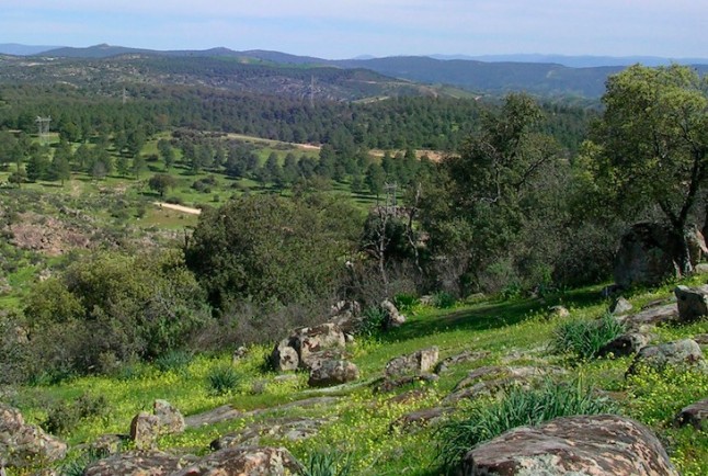 La Sociedad de Historia Natural detecta 210 especies de plantas y animales en el parque de El Patriarca