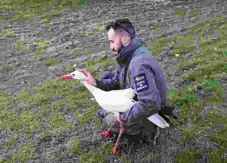 En 2020 el Equipo de Rescate de GREFA cumple quince años y supera los 65.000 animales atendidos