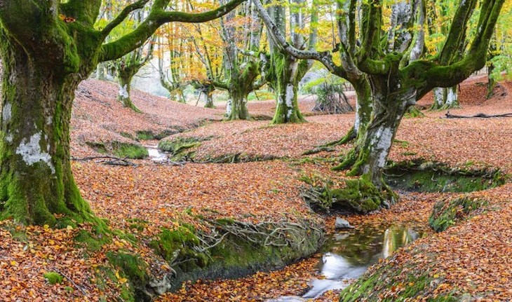 Sistema de Información de la Naturaleza de Euskadi