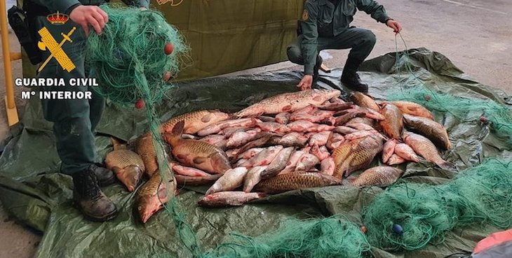 El SEPRONA de Huesca investiga a cinco personas por un delito contra la flora y la fauna