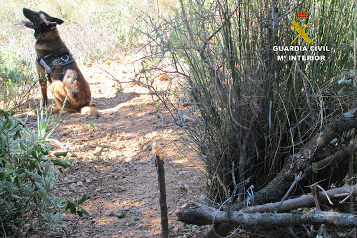 Prisión paraa un guarda de un coto de caza de Loja (Granada) y por colocar veneno y lazos ilegales en Archidona (Málaga)