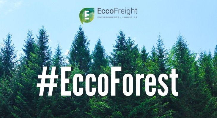 EccoForest: la iniciativa de EccoFreight que representa el tipo de compromiso empresarial que necesitamos