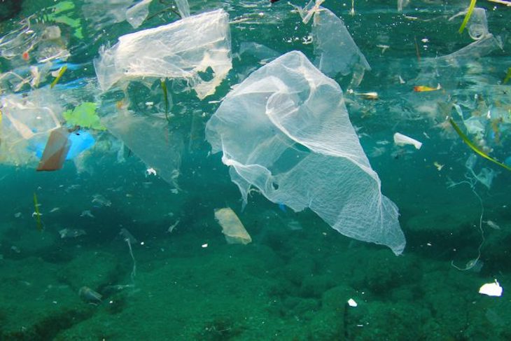 El Parlamento Europeo reclama medidas urgentes para reducir la basura marina