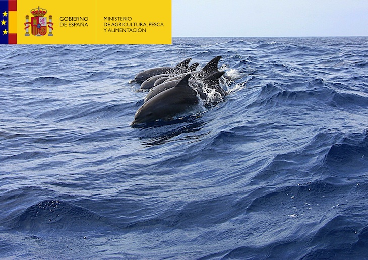 Acuerdan una estrategia coordinada España