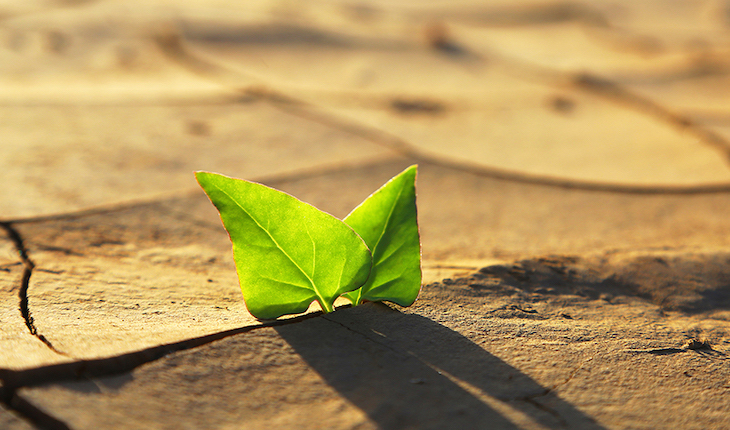 EEUU y China contra el calentamiento global