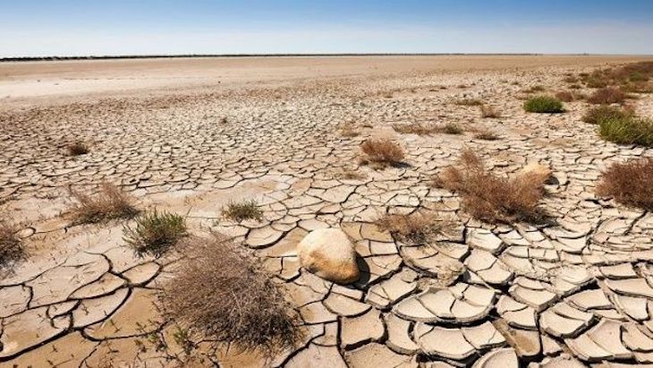 La ‘Ley de Cambio Climático’ estará en manos de los Grupos Parlamentarios la semana que viene