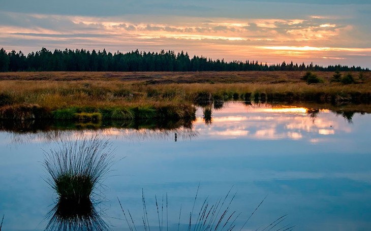 Quieres celebrar el ‘Día Mundial de los Humedales’ en Andalucía