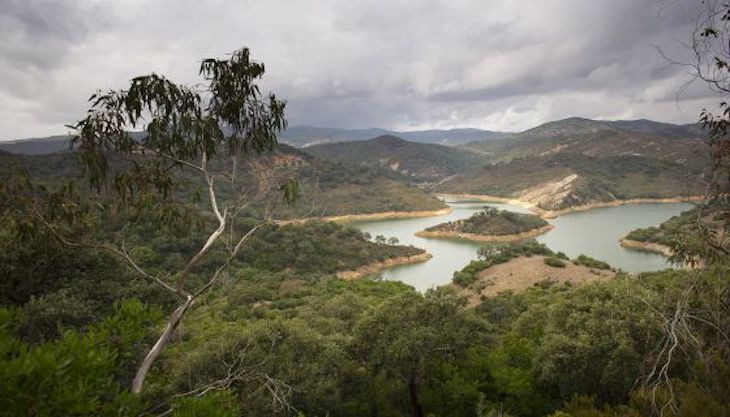 Andalucía puede y debe declarar la Finca de la Almoraima como monte de dominio público