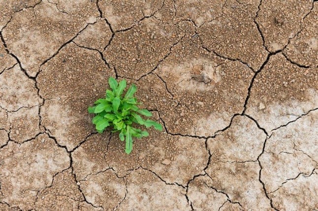 Identifican una posible asociación entre resistencia antimicrobiana y cambio climático