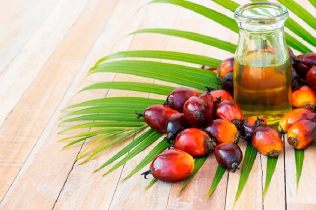 Chocolates Trapa fulmina el aceite de palma