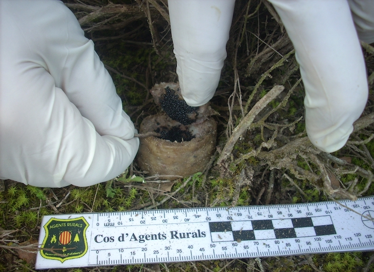 Incumplimiento de la Estrategia de Venenos en Extremadura