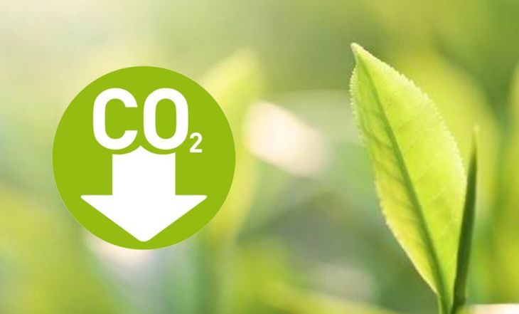 El coronavirus acecha a la descarbonización