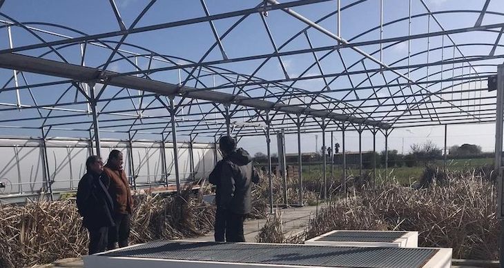 Los municipios pueden participar en la elaboración del reglamento del consorcio Masmedio de la Diputación de Cáceres