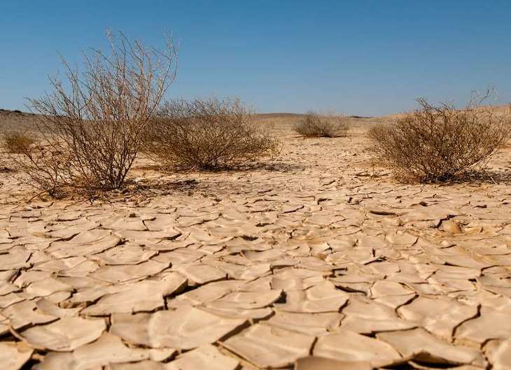 Adelante con la ‘Ley de Cambio Climático’