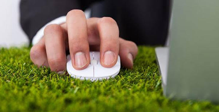 Cómo escribir tu CV para trabajar en medio ambiente o sostenibilidad