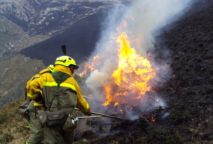 Cantabria calcinada por 120 incendios provocados durante el estado de alarma