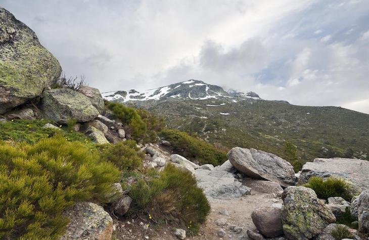 Las deficiencias del ‘Plan Rector del Parque Nacional de la Sierra de Guadarrama’
