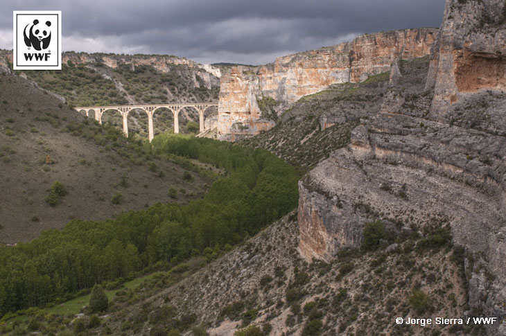 Ayuntamiento de Montejo de la Vega y WWF protegiendo el Refugio de rapaces