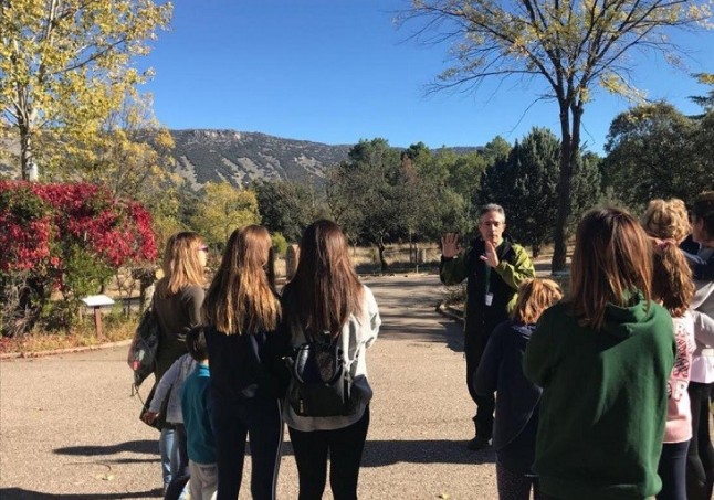 Castilla – La Mancha dará ayudas al transporte escolar para actividades de educación ambiental