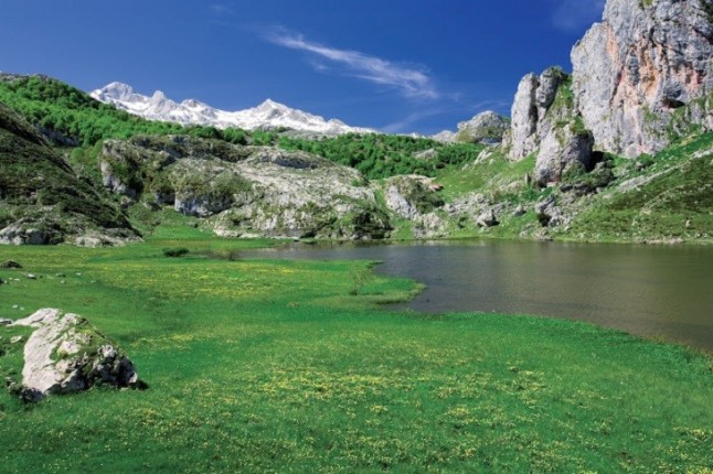 El Rey Felipe VI con el Centenario de los Parques Nacionales de España