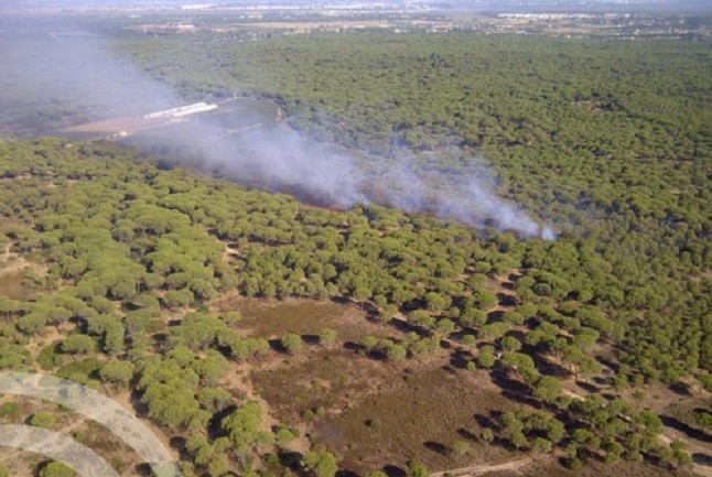 Controlado el incendio forestal en un paraje de El Cerro del Andévalo (Huelva)