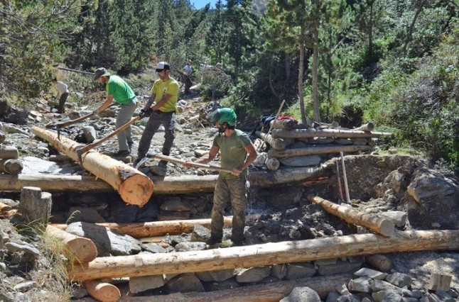Voluntarios para proteger a los bosques del Pirineo