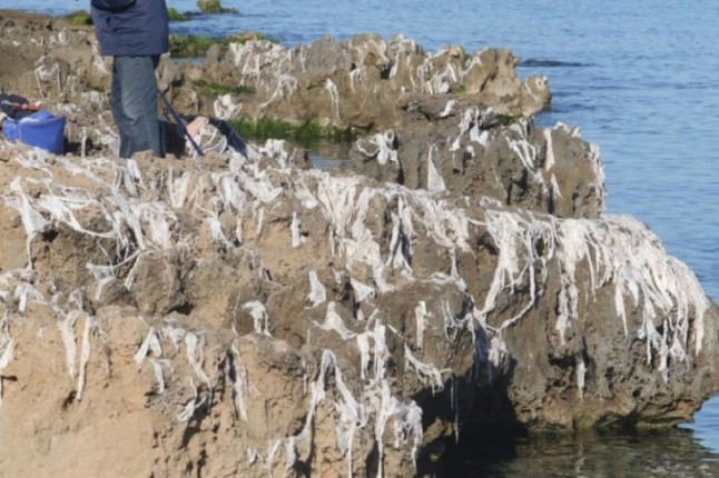 Miles y miles de toallitas en la playa de Los Lances y de la Concha